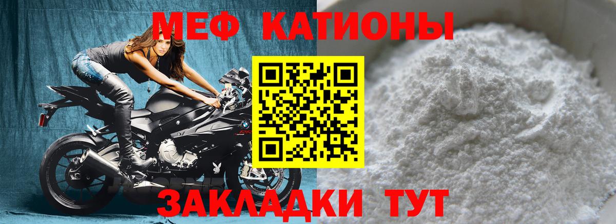 МЕФ  Калининград