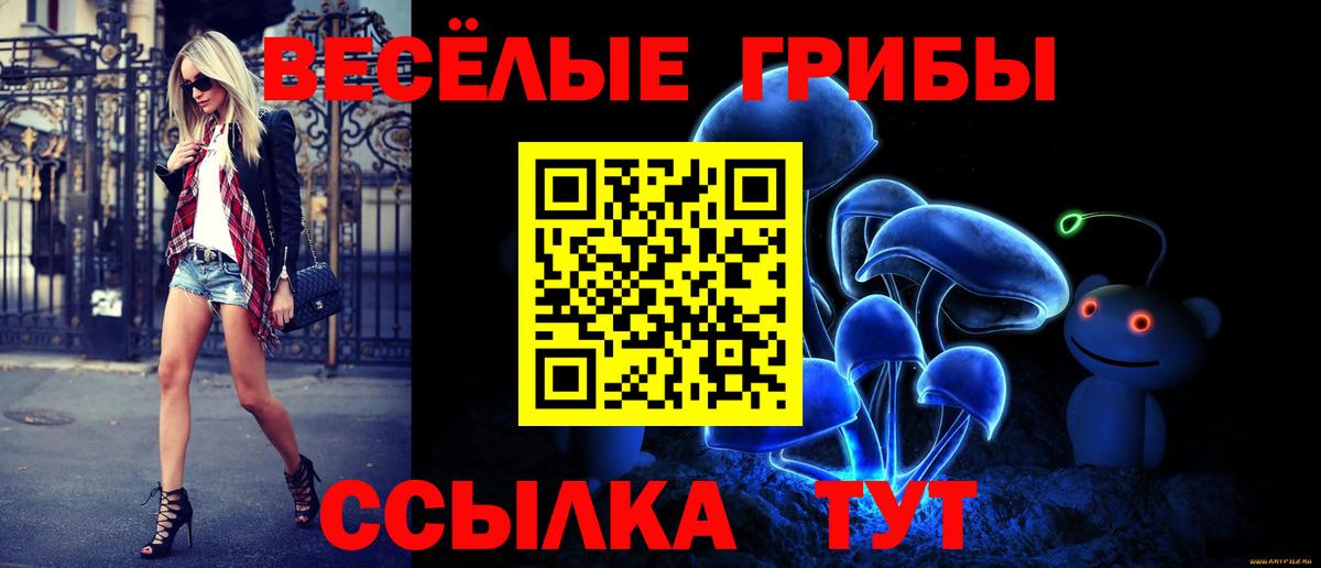 Псилоцибиновые грибы GOLDEN TEACHER  сколько стоит  Калининград  Галлюциногенные грибы Psilocybe  Вход с VPN 